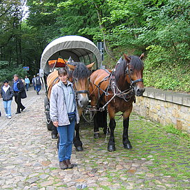 Aufnahmen von unseren Wanderungen & Veranstaltungen