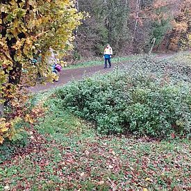 Aufnahmen von unseren Wanderungen & Veranstaltungen