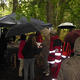 Aufnahmen von unseren Wanderungen & Veranstaltungen
