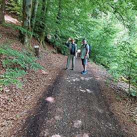 Aufnahmen von unseren Wanderungen & Veranstaltungen