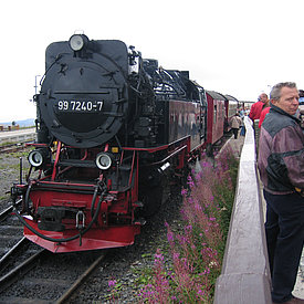 Aufnahmen von unseren Wanderungen & Veranstaltungen