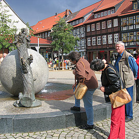Aufnahmen von unseren Wanderungen & Veranstaltungen