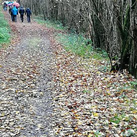 Aufnahmen von unseren Wanderungen & Veranstaltungen