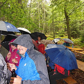 Aufnahmen von unseren Wanderungen & Veranstaltungen