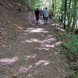 Aufnahmen von unseren Wanderungen & Veranstaltungen
