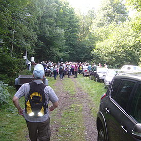 Aufnahmen von unseren Wanderungen & Veranstaltungen