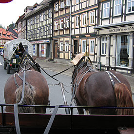 Aufnahmen von unseren Wanderungen & Veranstaltungen