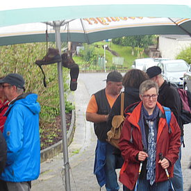 Aufnahmen von unseren Wanderungen & Veranstaltungen