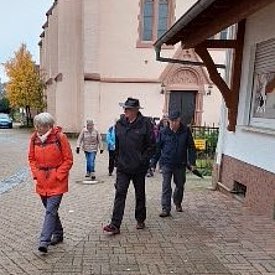 Aufnahmen von unseren Wanderungen & Veranstaltungen