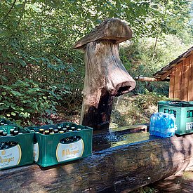 Aufnahmen von unseren Wanderungen & Veranstaltungen