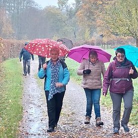 Aufnahmen von unseren Wanderungen & Veranstaltungen